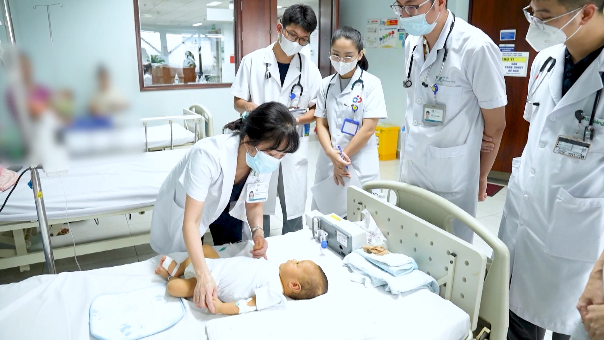 Những mầm sống được hồi sinh