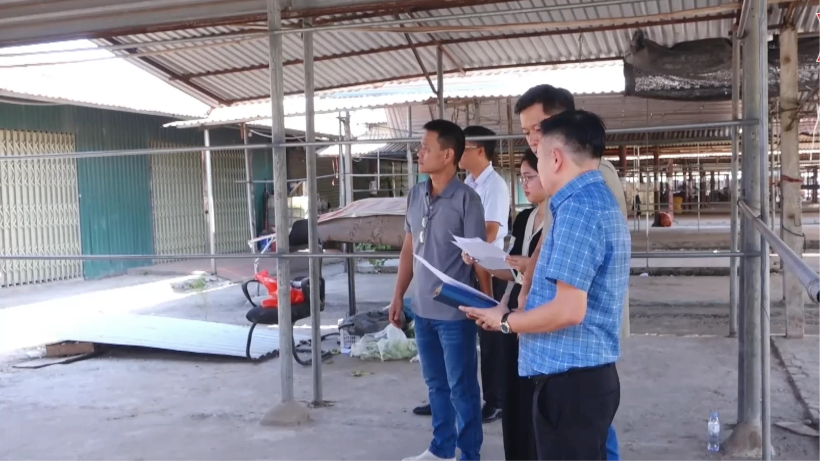 Nhà vệ sinh chợ Dày thành nơi chăn nuôi - chính quyền vào cuộc xử lý