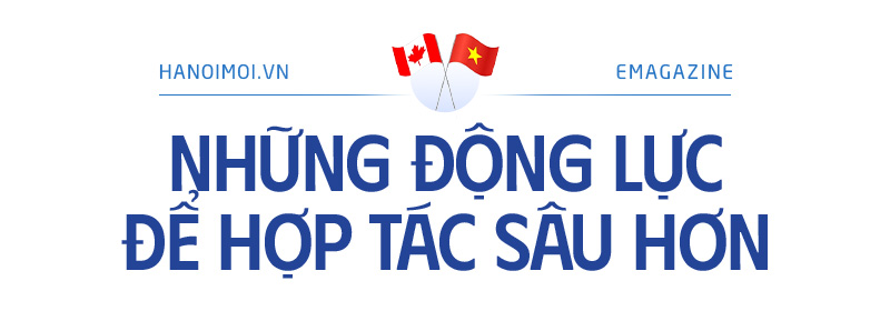 Đài PTTH Hà Nội
