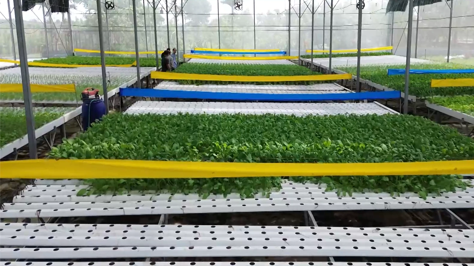 Nông nghiệp Hà Nội: Nâng giá trị, tăng sức cạnh tranh | Nông nghiệp nông thôn | 27/08/2026