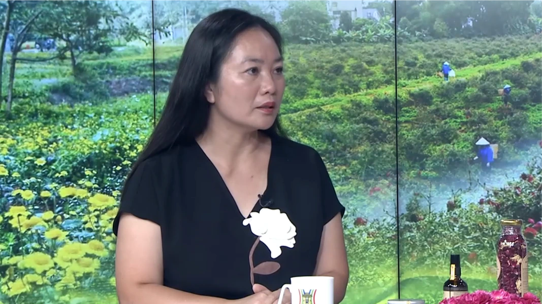 Bỏ phố về quê làm hữu cơ | Con đường doanh nhân | 06/09/2026