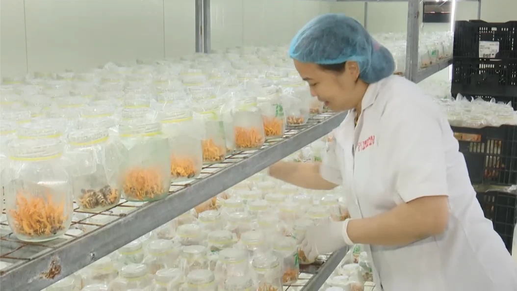 Chuyển đổi xanh từ cách thức sản xuất | Chuyển đổi xanh | 05/09/2026