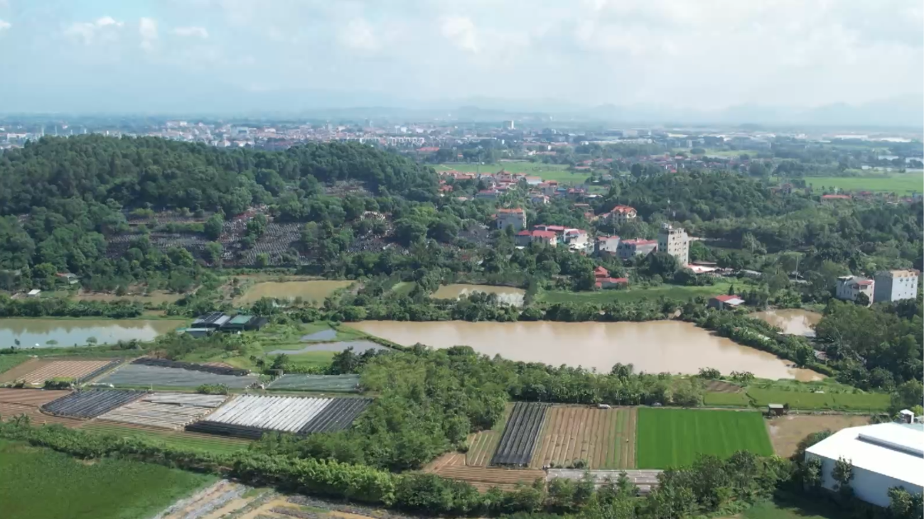 Quy hoạch sông Hồng: 265ha phục vụ tái định cư tại chỗ