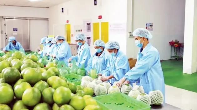 Nông sản Việt Nam khó vào thị trường châu Âu