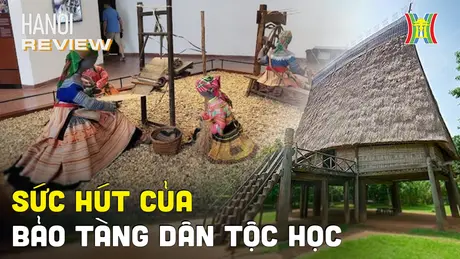 Khám phá điểm tham quan du lịch hàng đầu Việt Nam | HANOI Review | 26/04/2024