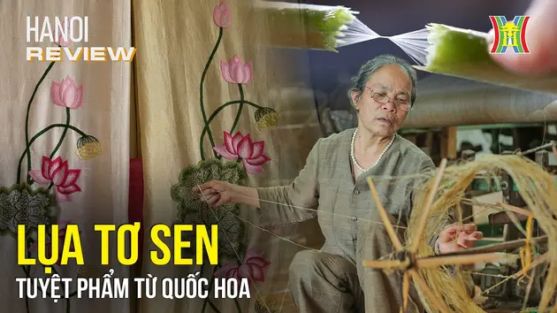 Lụa tơ sen - tuyệt phẩm từ quốc hoa | HANOI Review | 30/05/2024