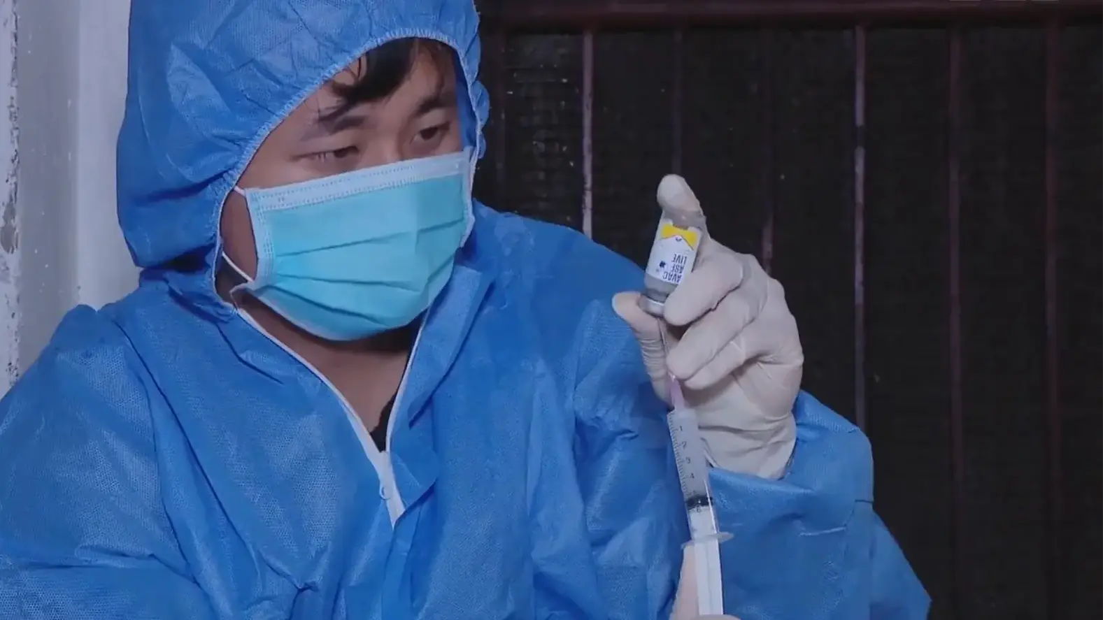Người chăn nuôi cần tiêm phòng vaccine cho gia súc