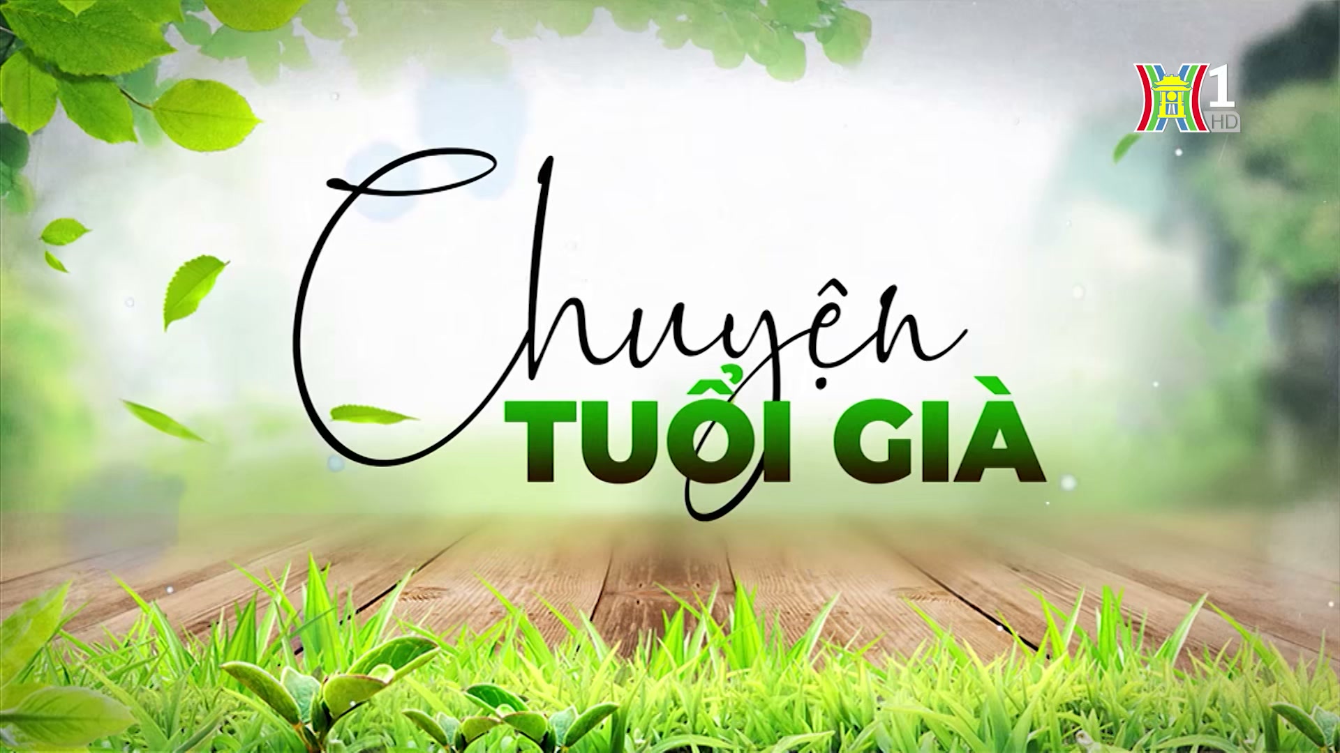 Thiếu giao tiếp xã hội, mối nguy hại khi về già | Chuyện tuổi già | 01/09/2024