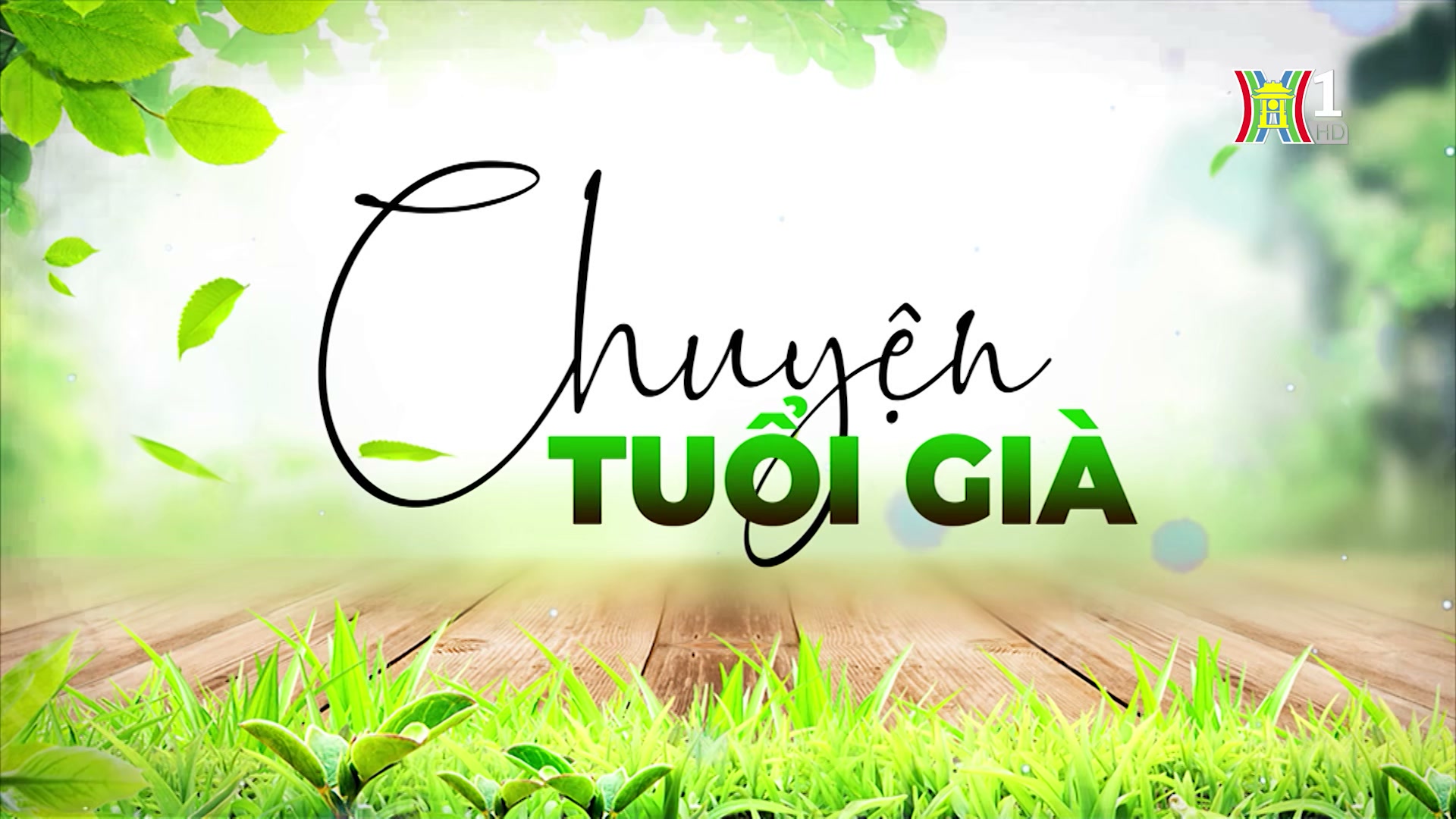 Vai trò giáo dục con cháu trong gia đình của ông bà | Chuyện tuổi già | 04/08/2024