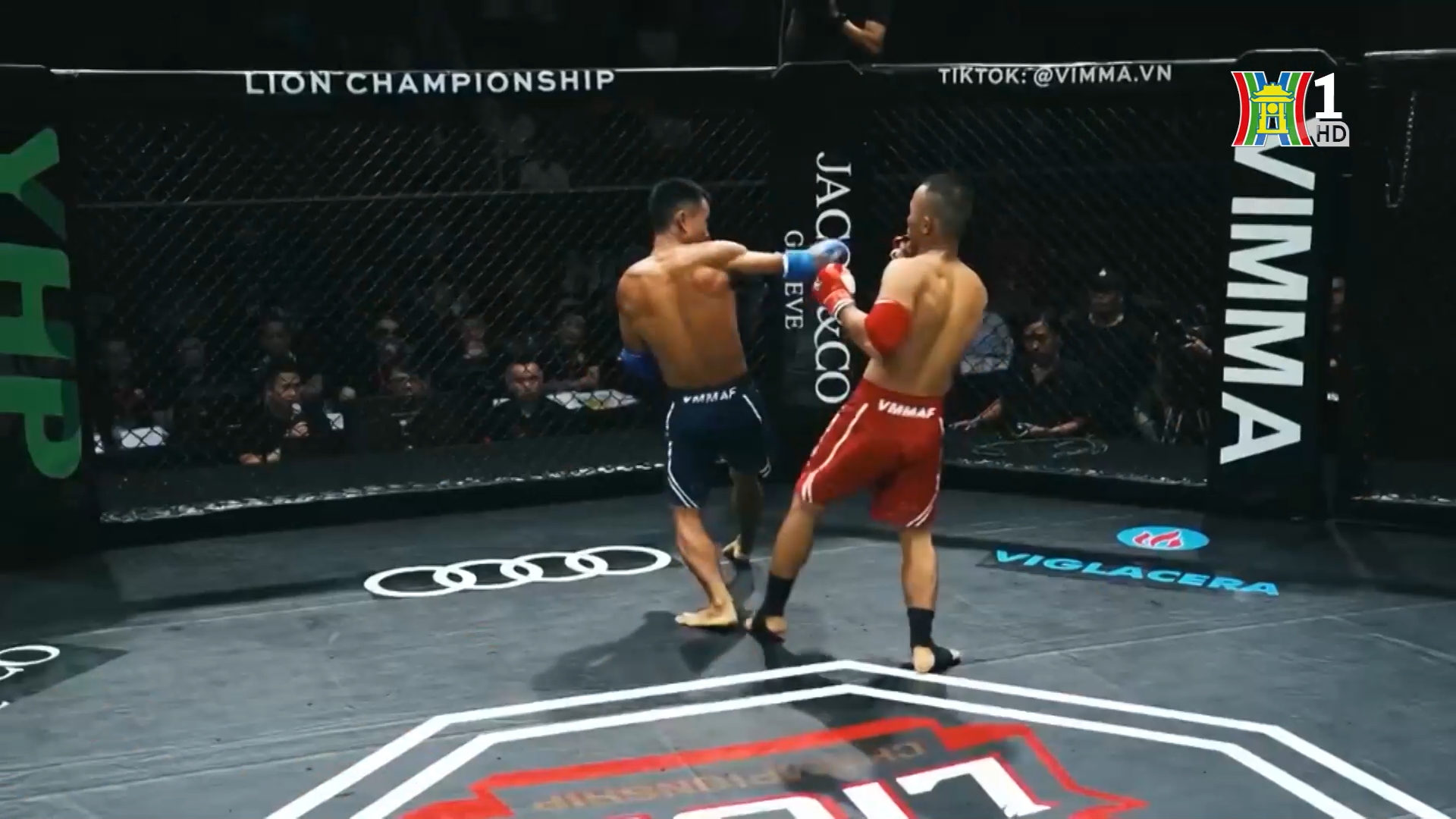 MMA - môn thể thao hay trào lưu mới (tập 2) | Phóng sự tài liệu | 06/05/2025
