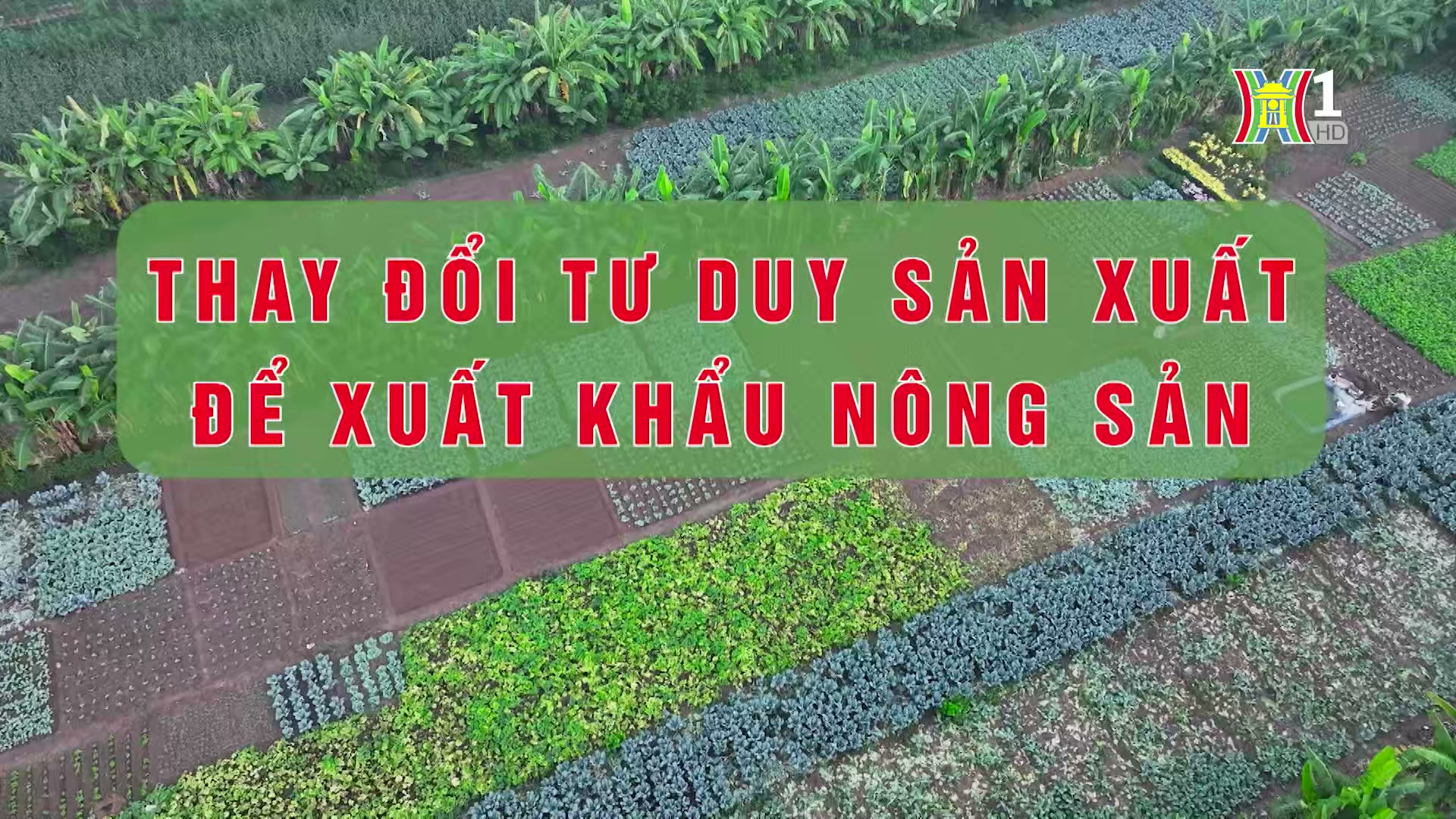 Đưa nông sản Việt Nam vào Pháp | Thủ đô và thế giới | 10/08/2024