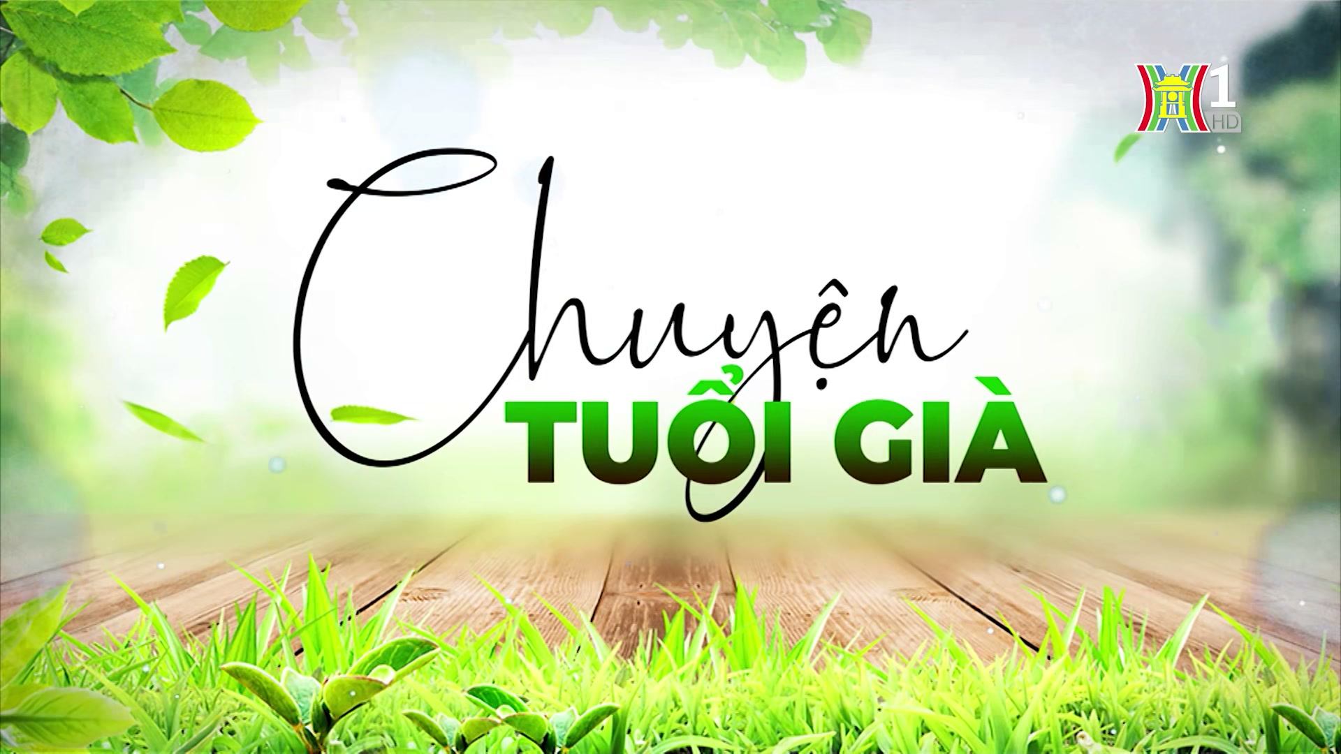 Thiền với người cao tuổi | Chuyện tuổi già | 11/08/2024