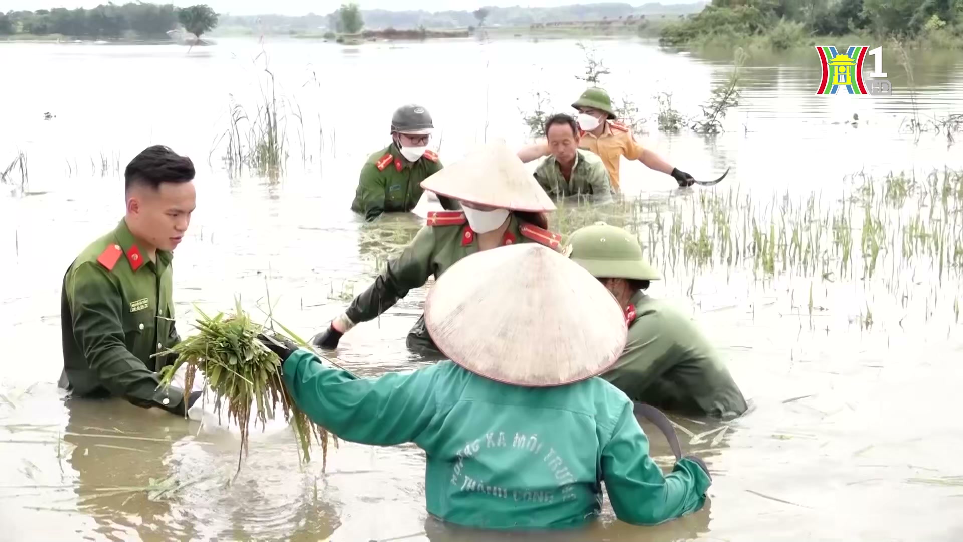 Đài Hà Nội