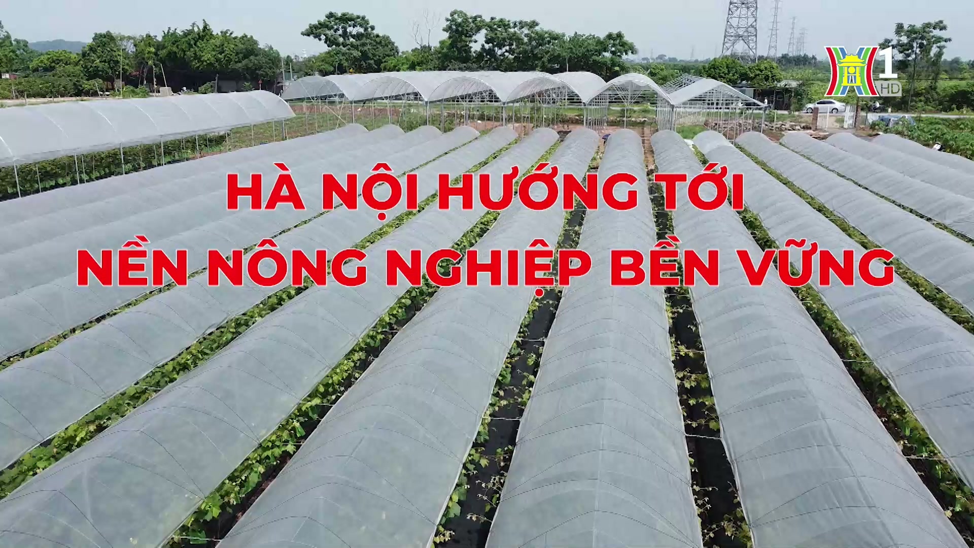 Đưa ngành nông nghiệp phát triển hiện đại, bền vững | Thủ đô và thế giới | 12/10/2024