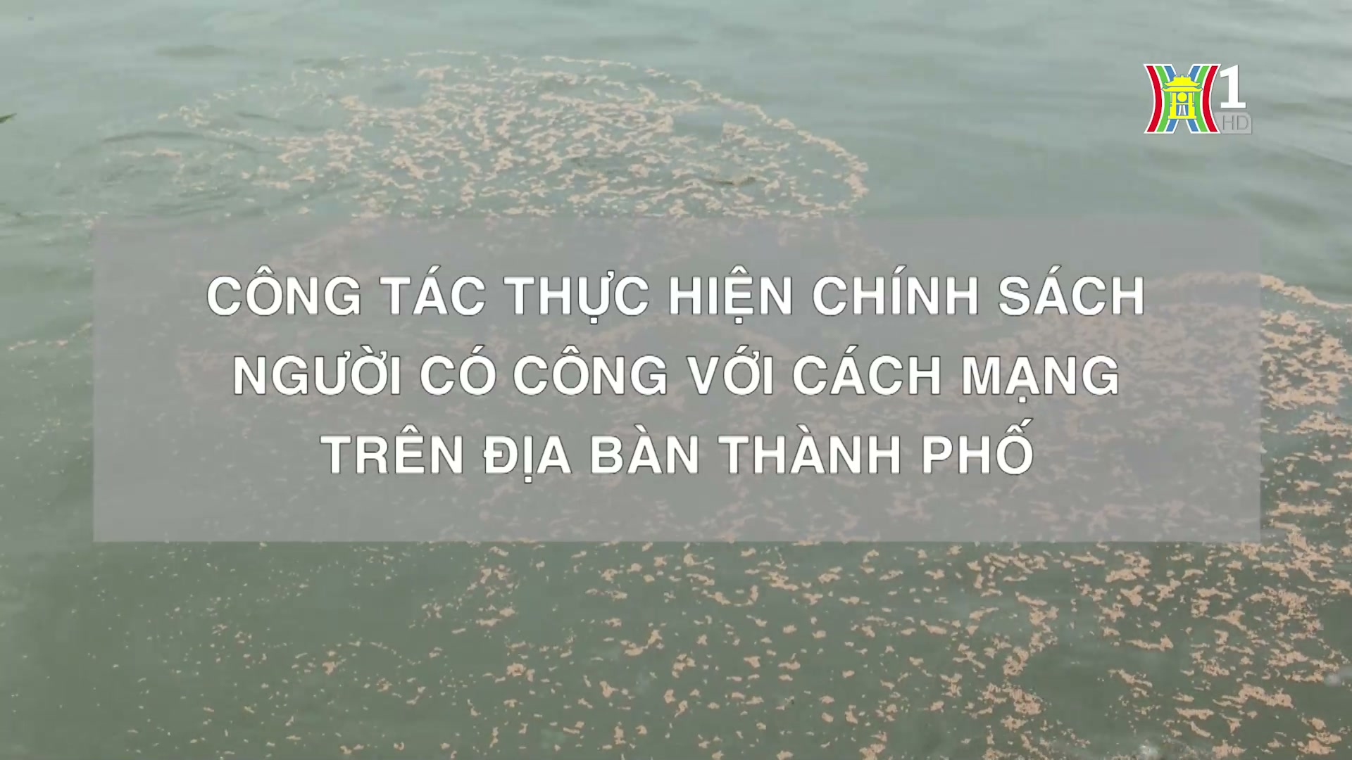 Công tác thực hiện chính sách người có công trên địa bàn thành phố | Phóng sự chuyên đề | 13/10/2024