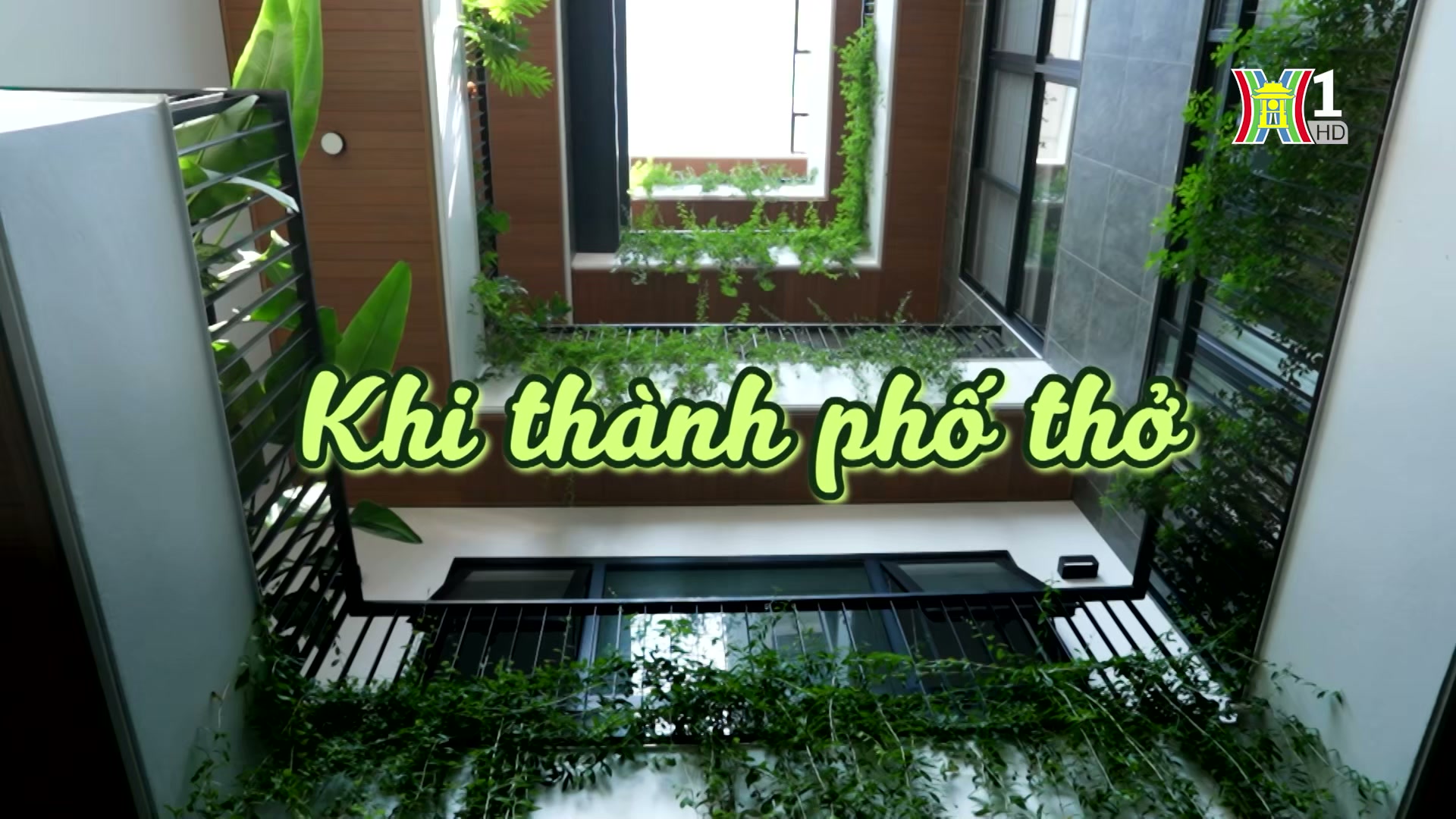 Khi thành phố thở | Cuộc sống thành thị | 14/09/2024