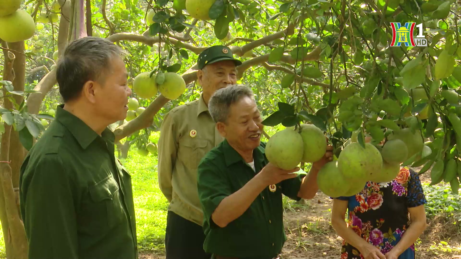 Tuổi cao trí càng cao | Người tốt quanh ta | 14/12/2024