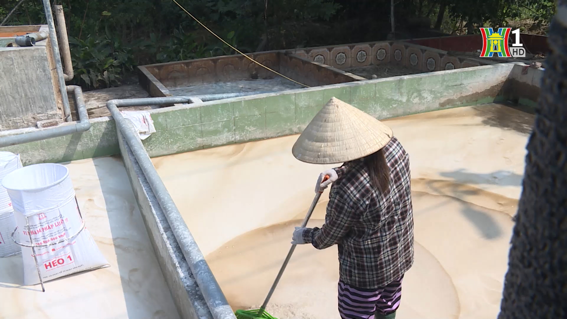Vì môi trường sạch đẹp | Người tốt quanh ta | 19/05/2025
