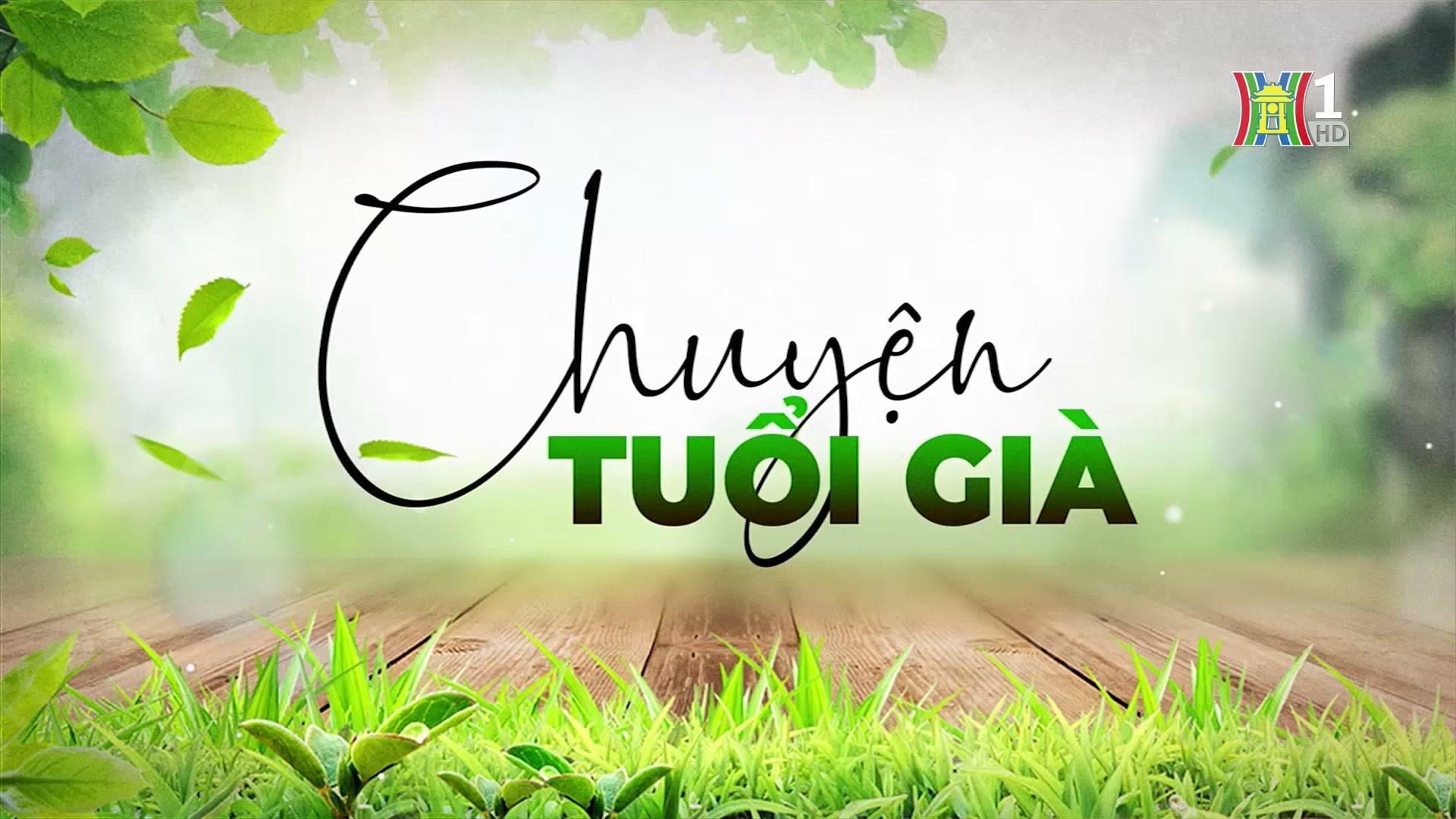 Vai trò người cao tuổi với sự phát triển của Thủ đô | Chuyện tuổi già | 20/10/2024