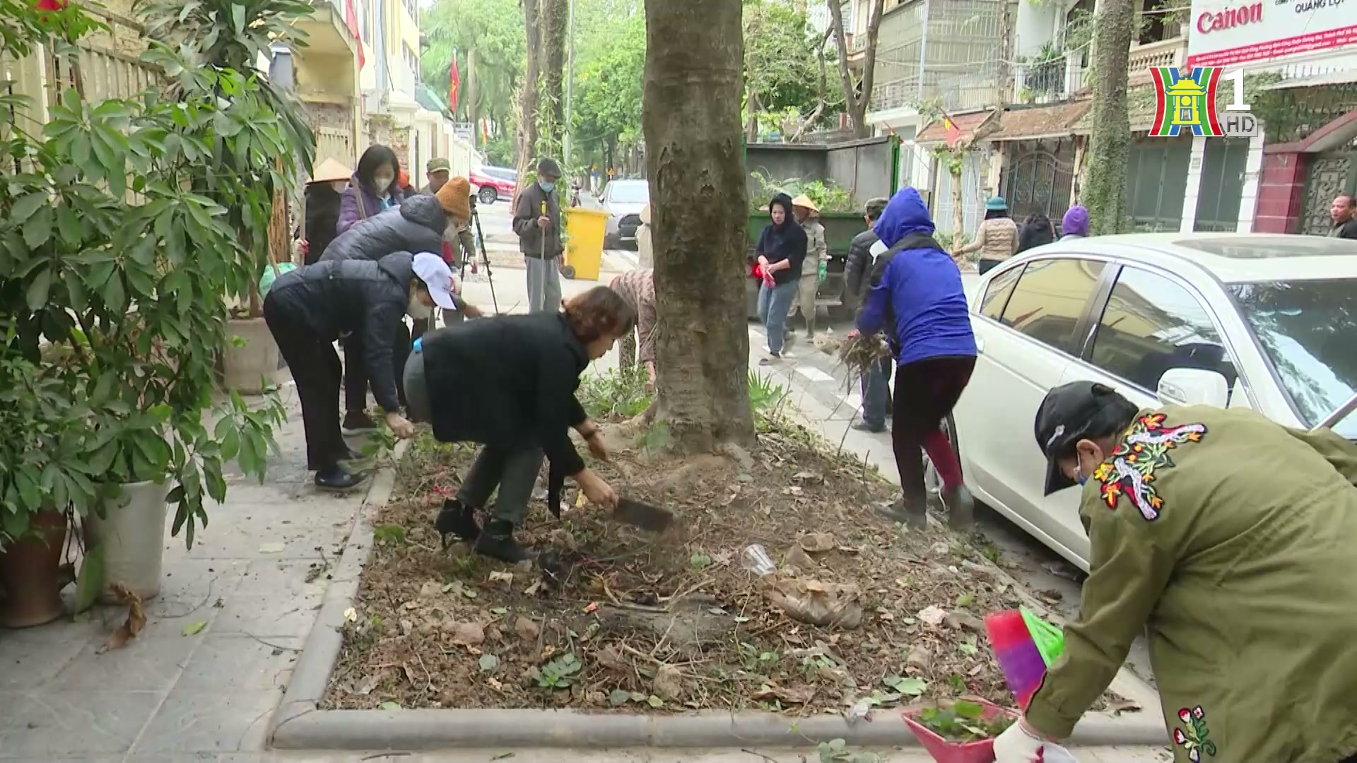 Hiệu quả từ phong trào 'Ngày cuối tuần xanh'