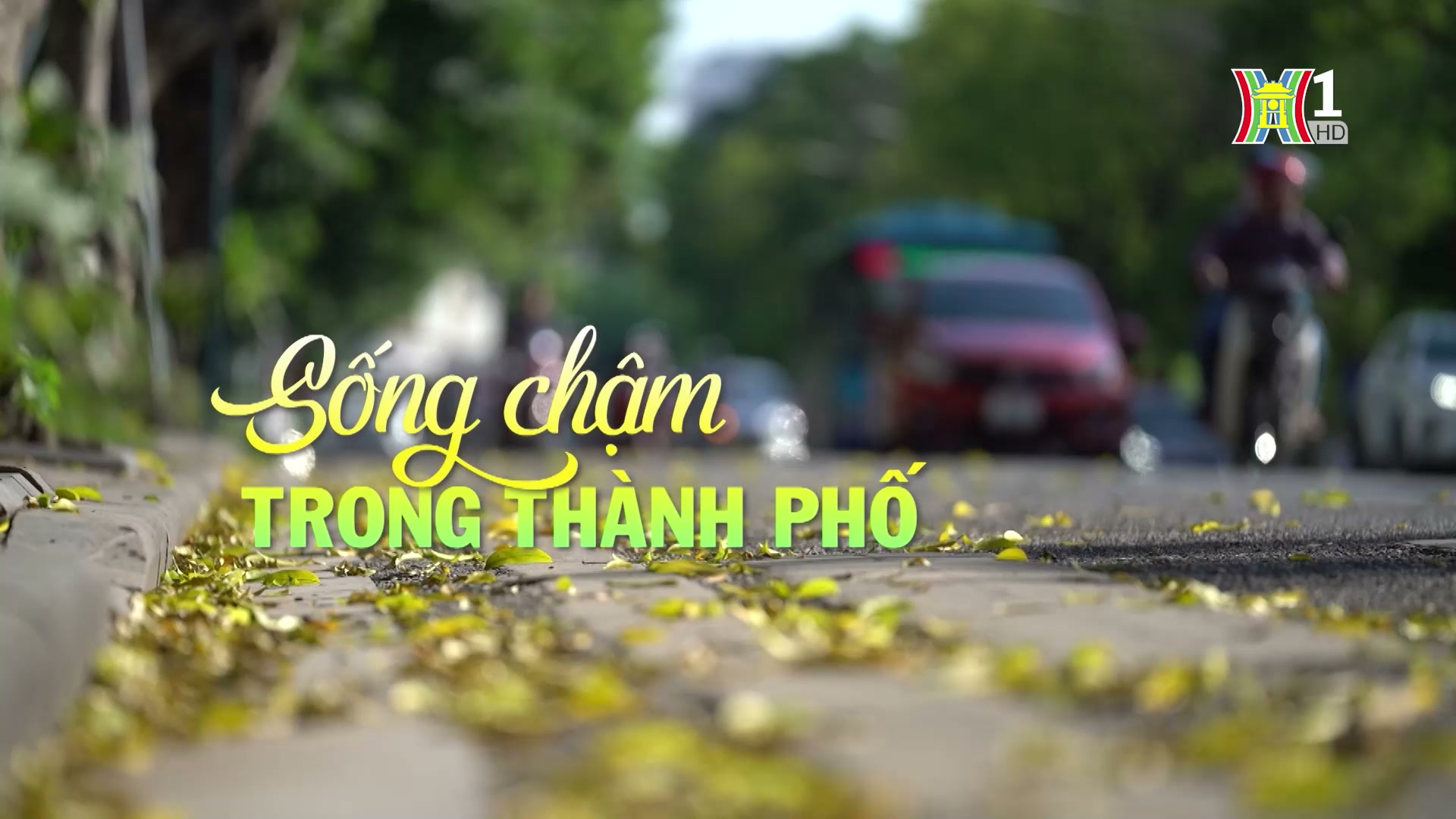 Sống chậm trong thành phố | Cuộc sống thành thị | 20/10/2024