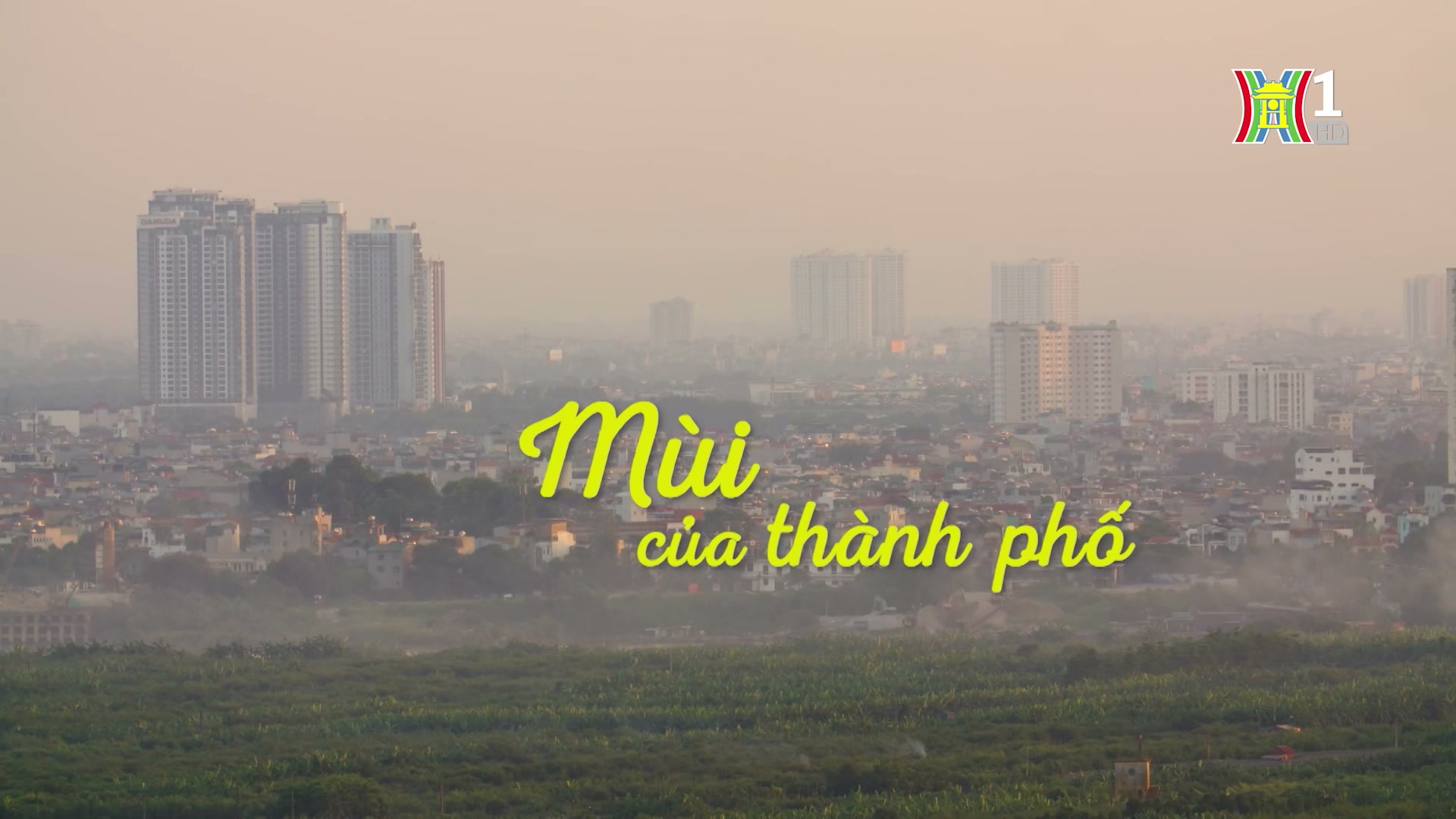 Đài Hà Nội