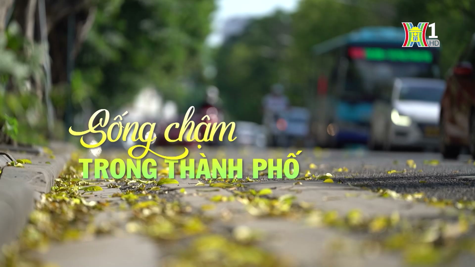 Sống chậm trong thành phố