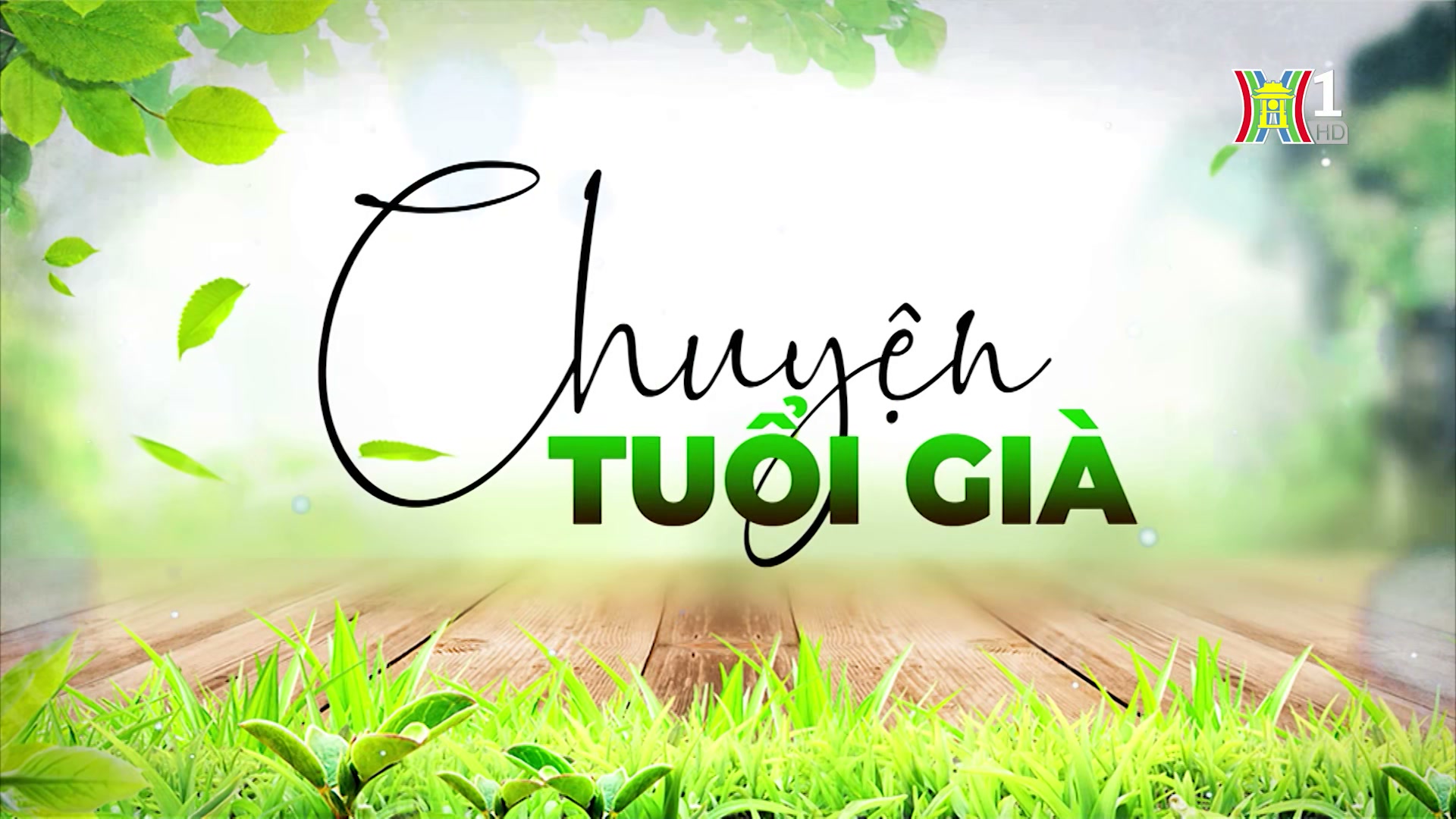 Trầm cảm ở người cao tuổi | Chuyện tuổi già | 25/08/2024