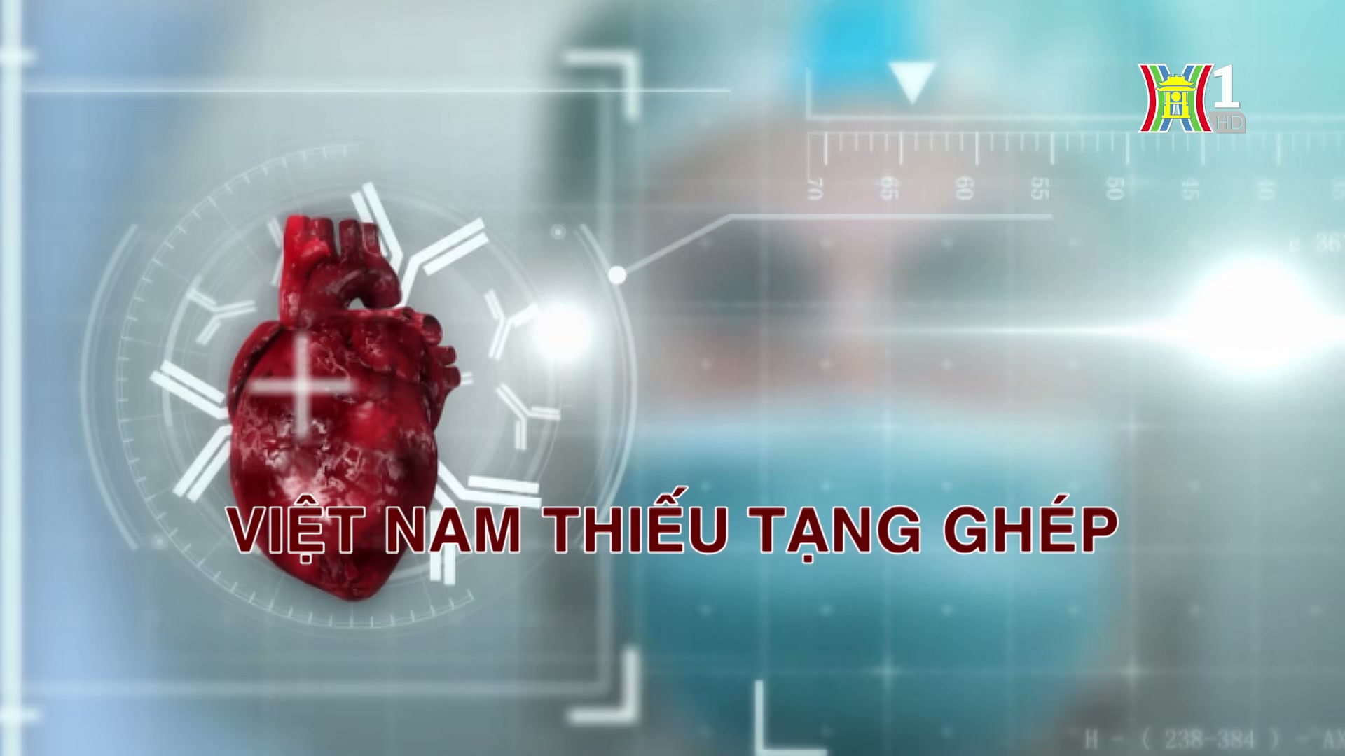 Việt Nam thiếu tạng ghép | Phóng sự tài liệu | 26/08/2024