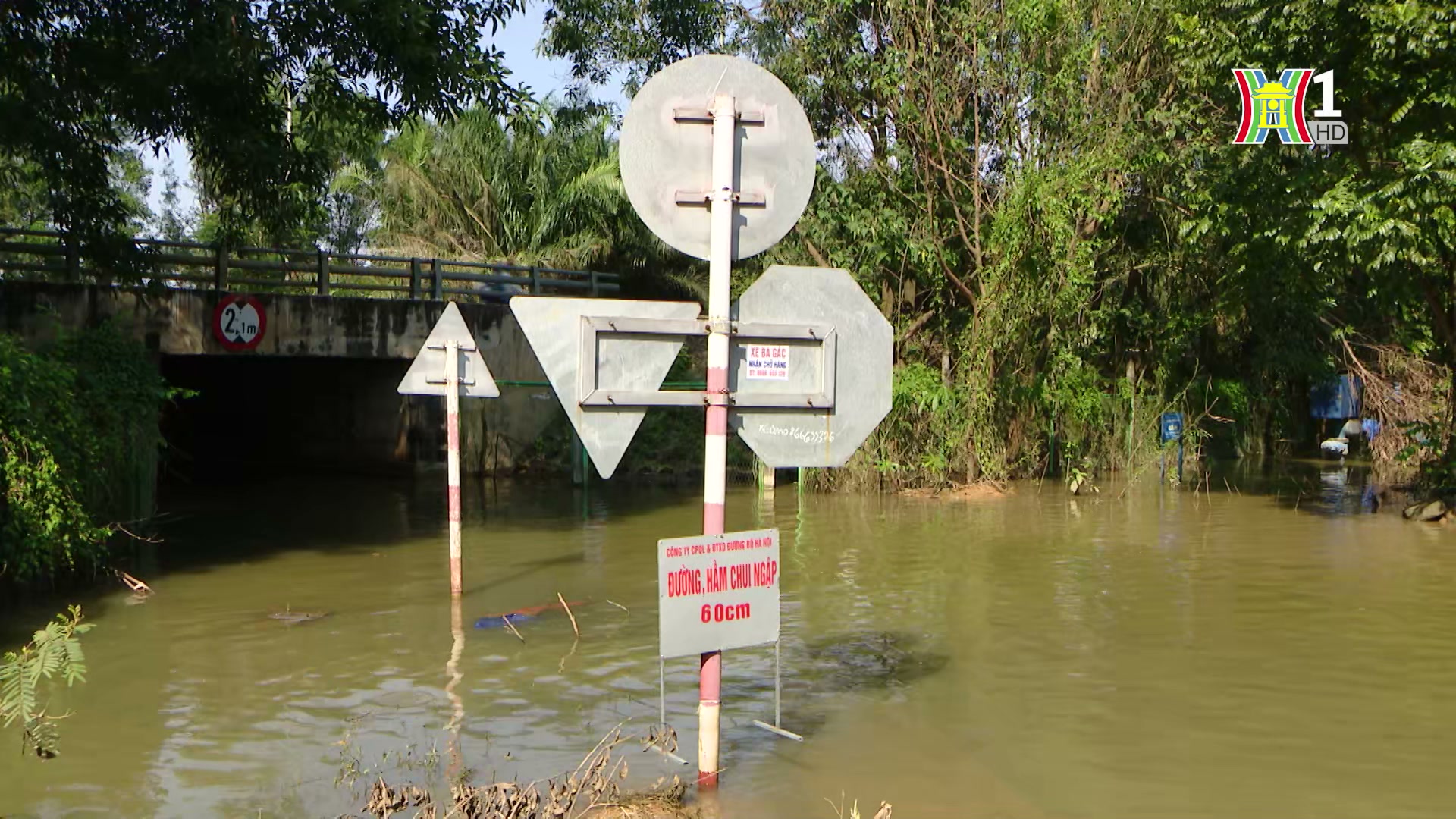 Đài Hà Nội