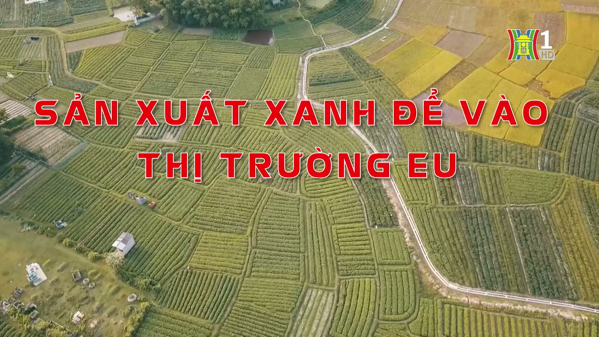 Sản xuất xanh để vào thị trường EU | Thủ đô và thế giới | 30/11/2024