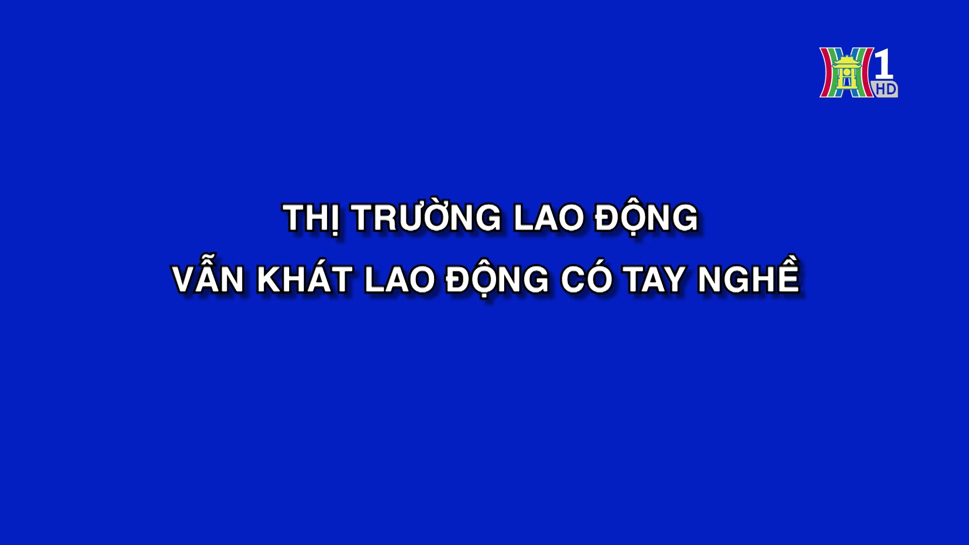 Thị trường lao động vẫn khát lao động có tay nghề | Phóng sự | 30/11/2024