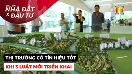 Bản tin Nhà đất và đầu tư | 01/01/2025