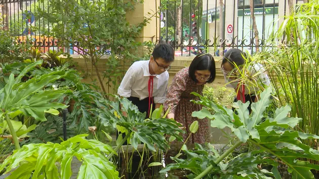 Vườn trường 'kể chuyện'
