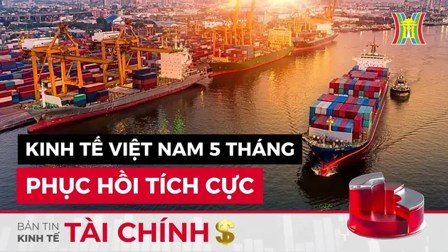 Bản tin Kinh tế Tài chính | 01/06/2024
