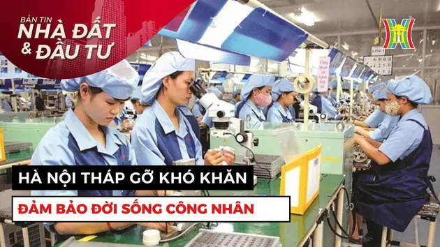 Bản tin Nhà đất và đầu tư | 01/06/2025