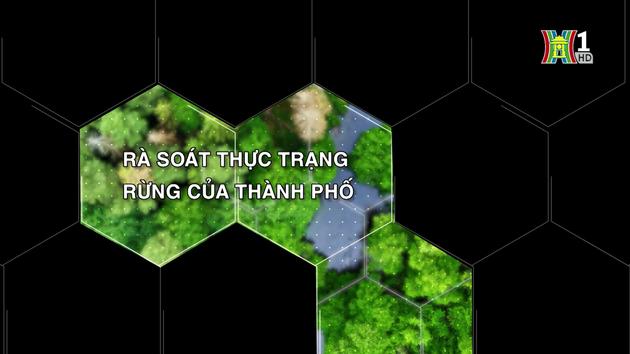 Rà soát thực trạng rừng của thành phố | Tạp chí Kiểm lâm | 1/10/2023