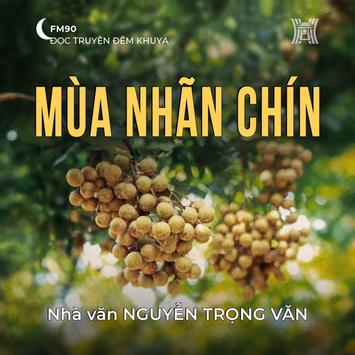 Truyện ngắn ‘Mùa nhãn chín’ - Nguyễn Trọng Văn  