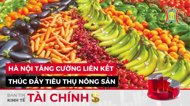 Bản tin Kinh tế Tài chính | 01/12/2024