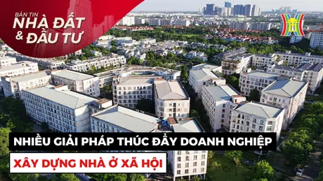 Bản tin Nhà đất và đầu tư | 02/01/2025