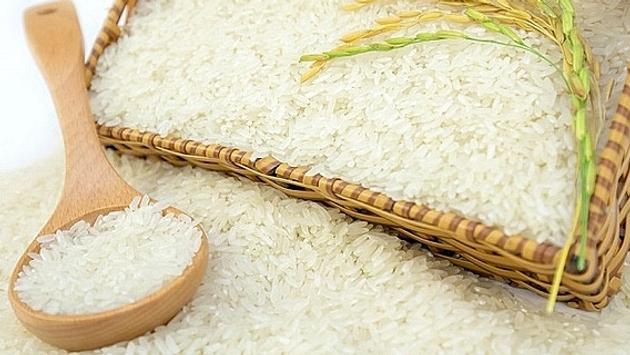 Giá lúa, gạo xuất khẩu giảm tới 20%