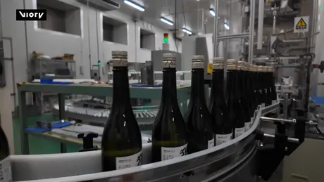 Nhật Bản chuẩn bị ủ rượu sake trên Mặt Trăng