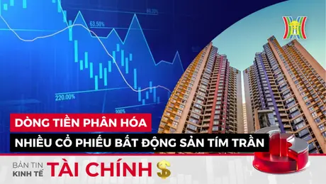 Bản tin Kinh tế Tài chính | 02/06/2025