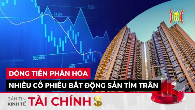 Bản tin Kinh tế Tài chính | 02/06/2025