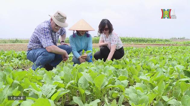 Canada hỗ trợ Hà Nội trong an toàn thực phẩm | Thủ đô và thế giới | 02/09/2023