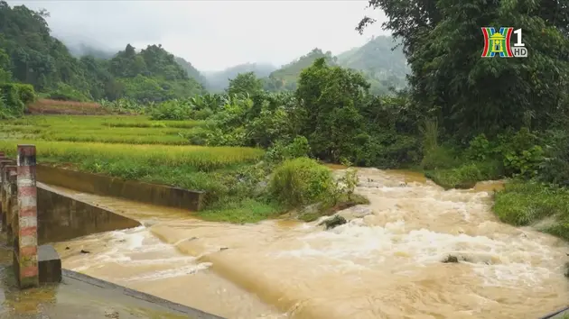 Đài Hà Nội