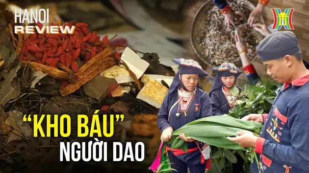 Khám phá 'kho báu' người Dao dưới chân núi Ba Vì | HANOI Review | 01/12/2024