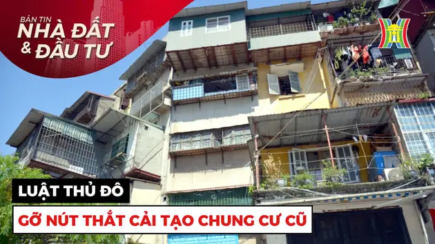 Bản tin Nhà đất và đầu tư | 03/01/2025