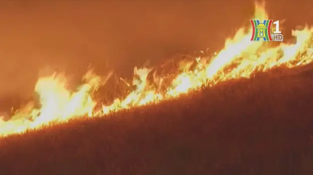 Hỏa hoạn tại thung lũng San Joaquin của California, Mỹ 