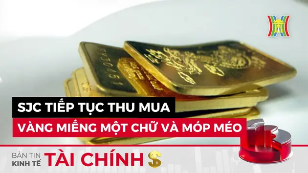 Bản tin Kinh tế Tài chính | 03/08/2024